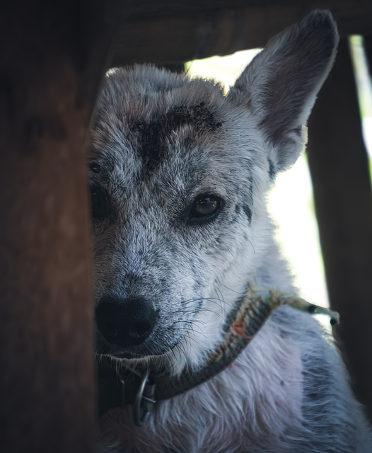 パーソナライズされた学習プランが表示されたタブレット画面